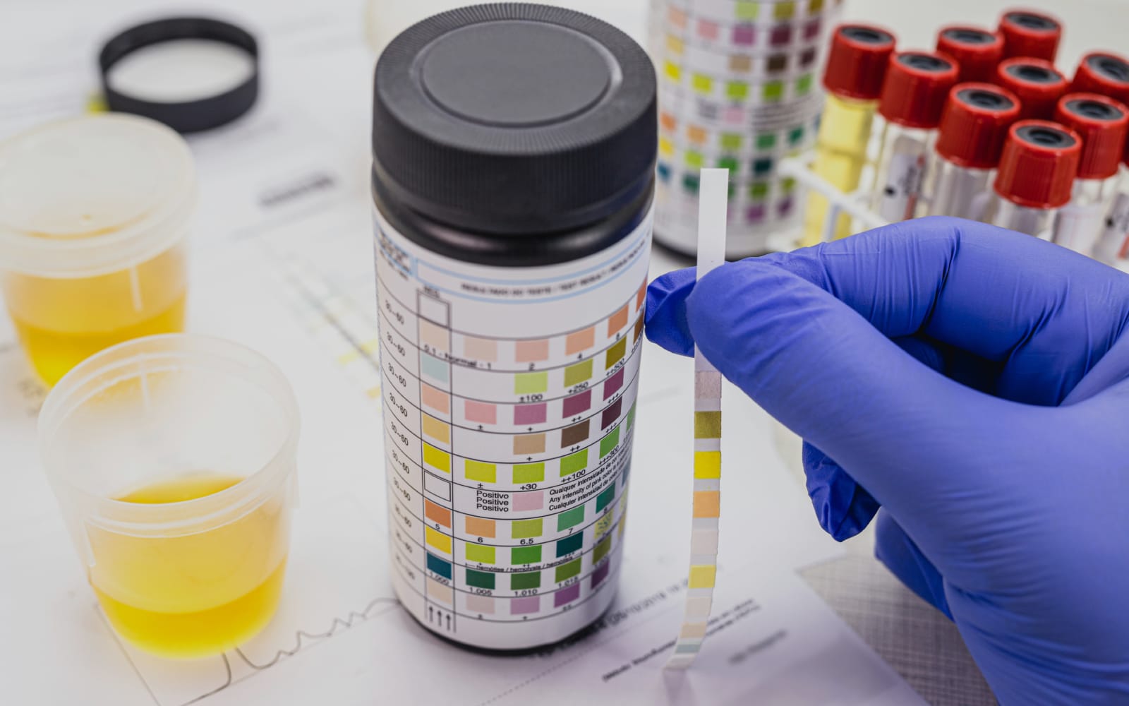Water Testing